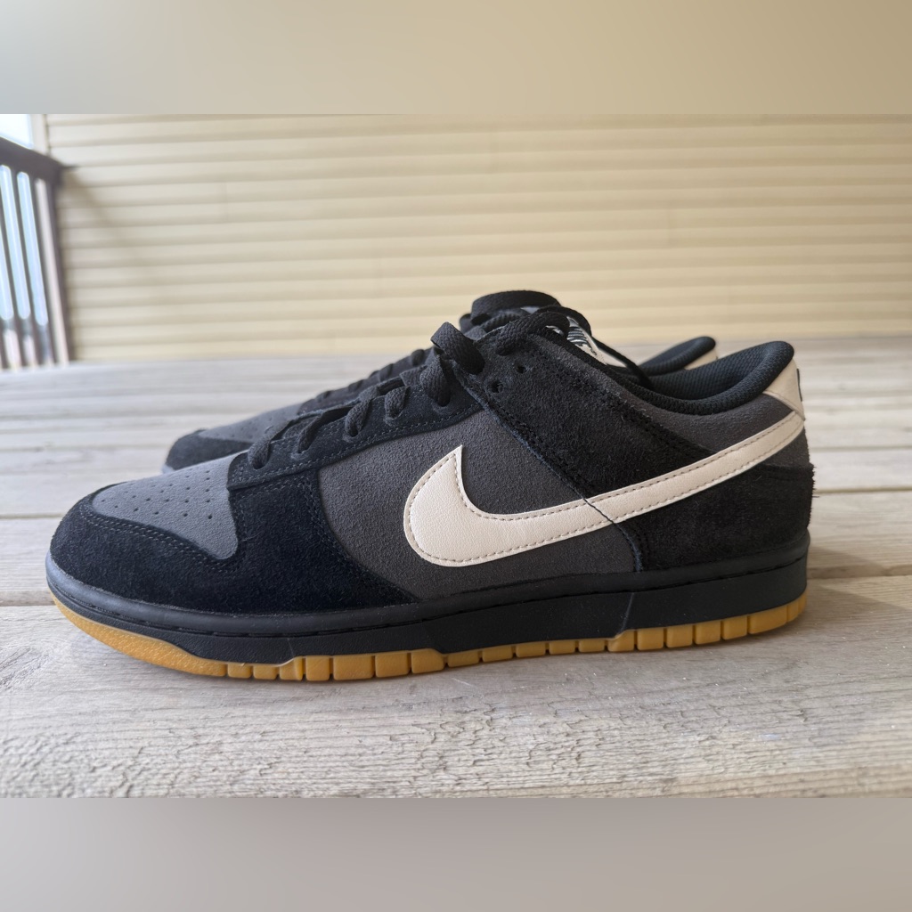 Nike Dunk Low Retro Se, Men’s 10.5